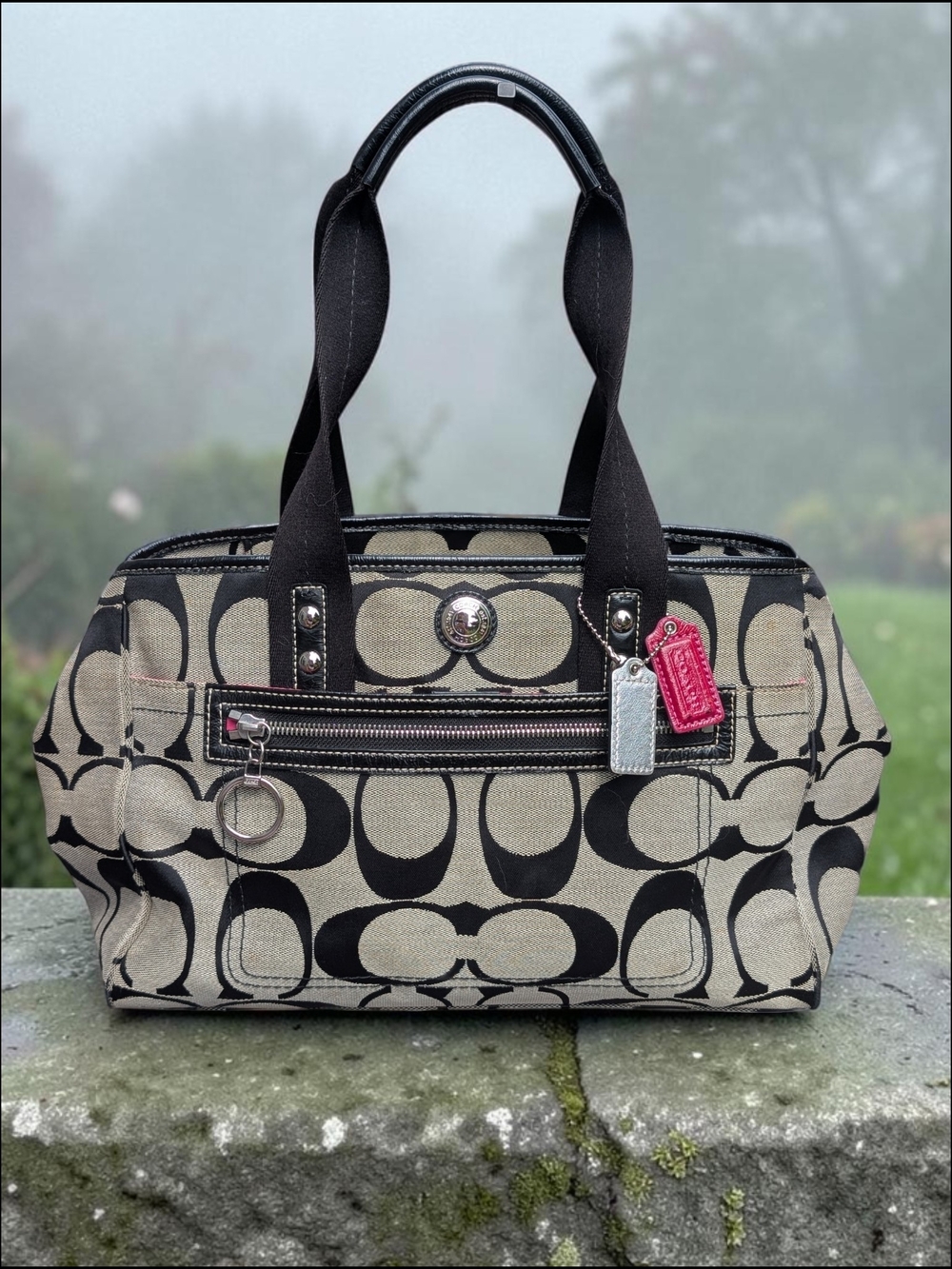 Coach Daisy Signature Canvas Shoulder Bag (F14878)